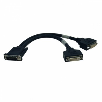 Tripp Lite Cable Divisor en "Y" DMS Macho - 2x DVI Hembra, 30cm, Negro - Envío Gratis