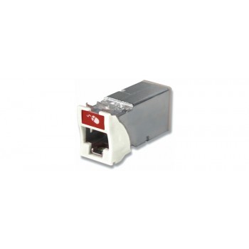 Siemon Jack de Red Cat6a UTP Z-MAX, RJ45/RJ11, Blanco, 100 Piezas - Envío Gratis