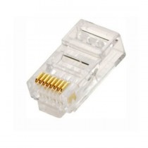 X-Case Jack Categoría 5e, RJ-45, Transparente - Envío Gratis