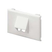 Panduit Placa Horizontal, 2 Puertos, Blanco - Envío Gratis