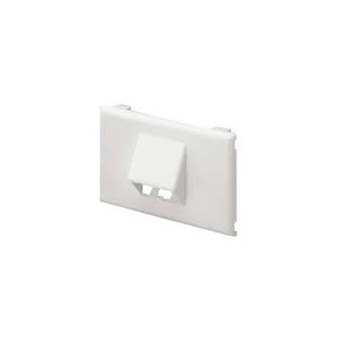 Panduit Placa Horizontal, 2 Puertos, Blanco - Envío Gratis