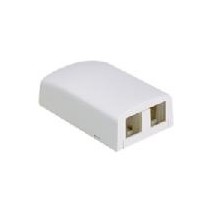 Panduit Caja NetKey, 2 Ventanas, Blanco - Envío Gratis