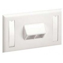 Panduit Placa Frontal Horizontal con Etiquetas, 2 Puertos, Blanco - Envío Gratis