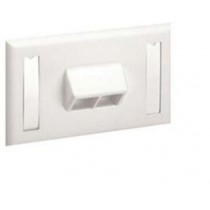 Panduit Placa de Pared, 2 Puertos RJ-45, Blanco - Envío Gratis