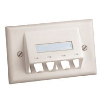 Panduit Placa de Pared Horizontal, 4 Puertos, Blanco - Envío Gratis