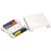 Panduit Caja Mini-Com para Instalación Superficial, 12 Puertos, Blanco - Envío Gratis