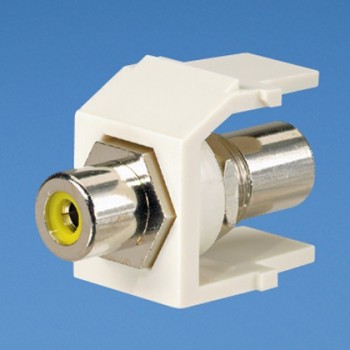 Panduit Conector RCA, Blanco - Envío Gratis