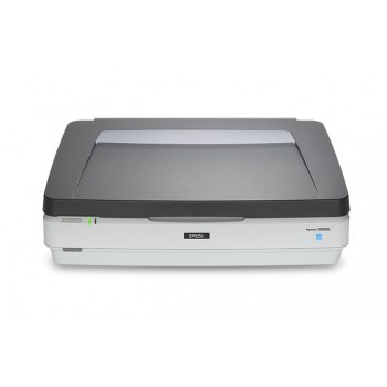 Scanner Epson Expression 12000XL, 2400 x 4800DPI, Escáner Color, USB 2.0, Gris - Envío Gratis