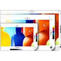 Epson Rollo de Papel Blanco Semimate para Prueba de Color 255g/m², 13'' x 100' - Envío Gratis