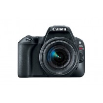 Cámara Réflex Canon EOS Rebel SL2, 24.2MP, Negro + Lente EF-S 18-55mm - Envío Gratis