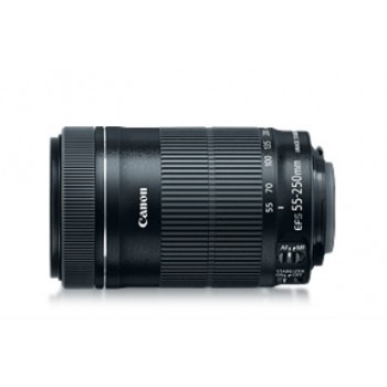Canon Lente Telefoto EF-S 55-250mm f/4-5.6 IS STM - Envío Gratis
