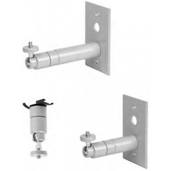 Pelco Montaje Universal C10-UM para Cámara, 1/4'', 360°, hasta 3.2kg