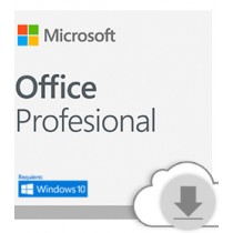 Microsoft Office Profesional 2019, 1PC, Plurilingüe, Windows