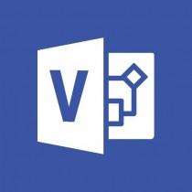 Microsoft Visio Professional 2019, 1 PC, Plurilingüe, Windows